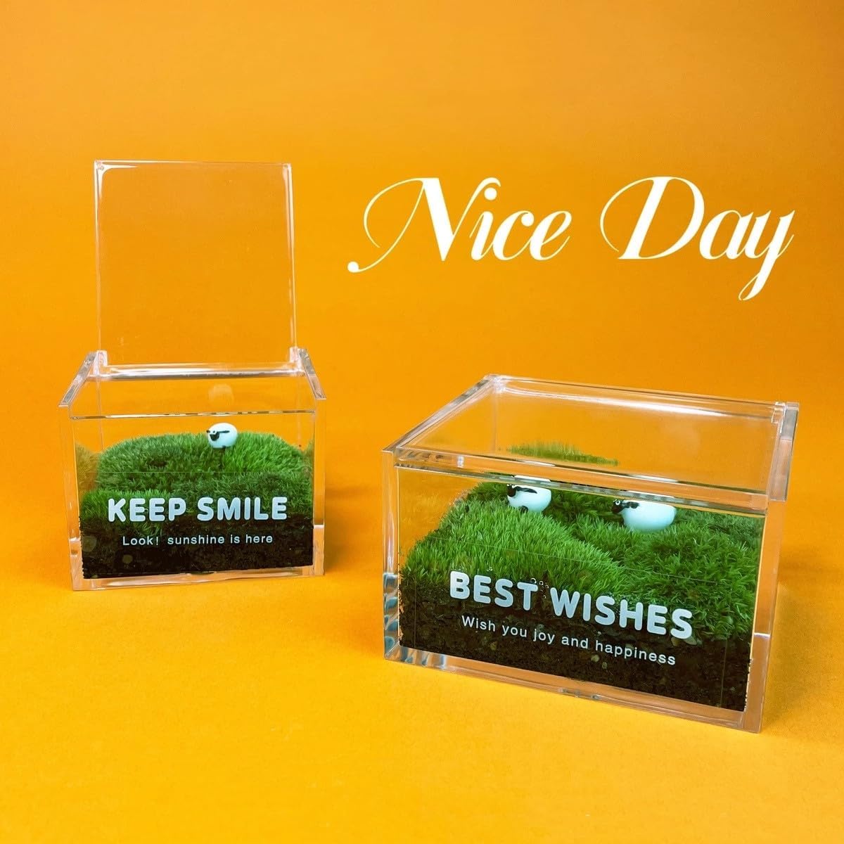 KissYou Acrylic Box with Lid Clear Storage Contanier Coffee Pod Holder Organizers Accessories Clear Hinged Lid Box