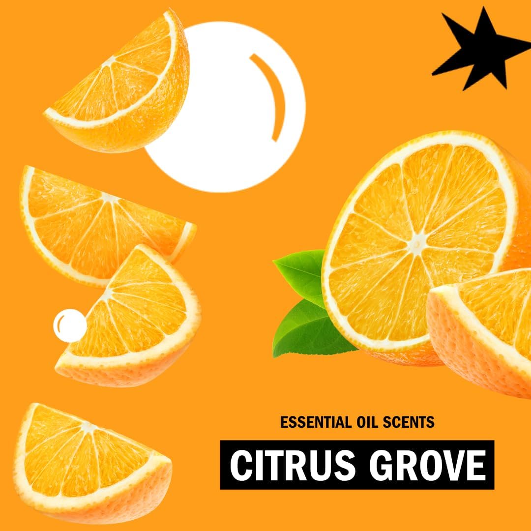 Molly's Suds Liquid Laundry Detergent | Clean Laundry Detergent Soap for Sensitive Skin | 2x Concentrated, High Efficiency (HE) (Citrus Grove - 200 Loads)