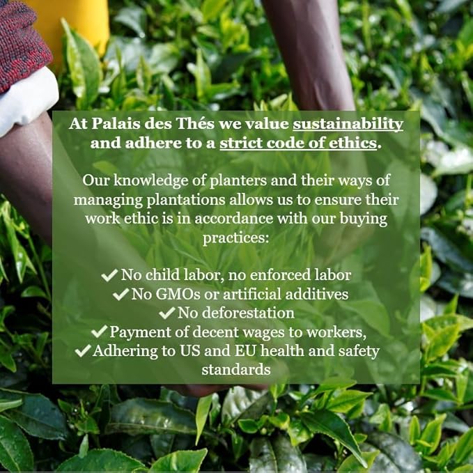 Palais des Thés - Tea Advent Calendar - Holiday Collection | 24 Premium French Delightful Tea Bags | Black, Green, Single Estate, Herbal & Rooibos Teas