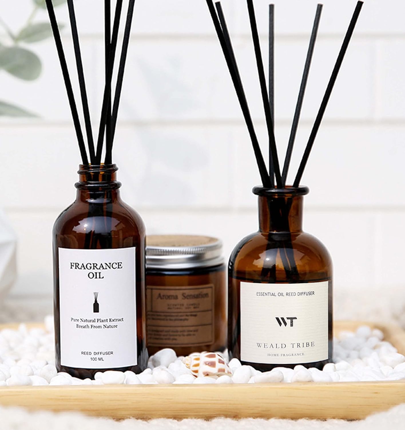 WEALD TRIBE Reed Diffuser Set for Bathroom Air Fresheners, Oil Diffuser Sticks | White Jasmine Scent 4.0 fl oz Home Fragrance with Sticks Defusers | House Bedroom Office Shelf Decor