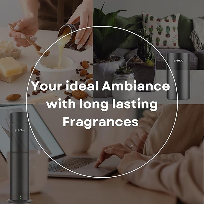 Scentia Hotel Diffuser Oil Inspired by 5-Star Hotel Scent - 120 mL 4.06 fl oz - Essential Oil Blend Botanical Jasmine, Bergamot & Fresh Notes for Aromatherapy Diffusers - Cabana, Thanksgiving Gift