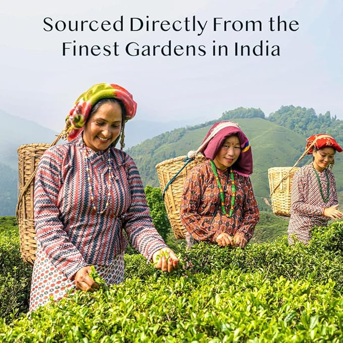 VAHDAM Top 9 Exotic Loose Leaf Herbal Tea Sampler (18+ cups) | No Caffeine | Floral & Fruity Blends with Delicious Taste | Hot & Iced | Perfect for Gifting & Regular Consumption