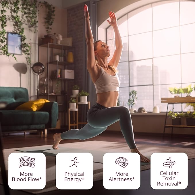 VINIA Signature Green Tea Bags, Made with Organic Green Tea, Infused with Piceid Resveratrol for Heart Health, Nitric Oxide, Physical Energy, Alertness, Blood Flow, Keto, Kosher, NON-GMO. 30 Ct