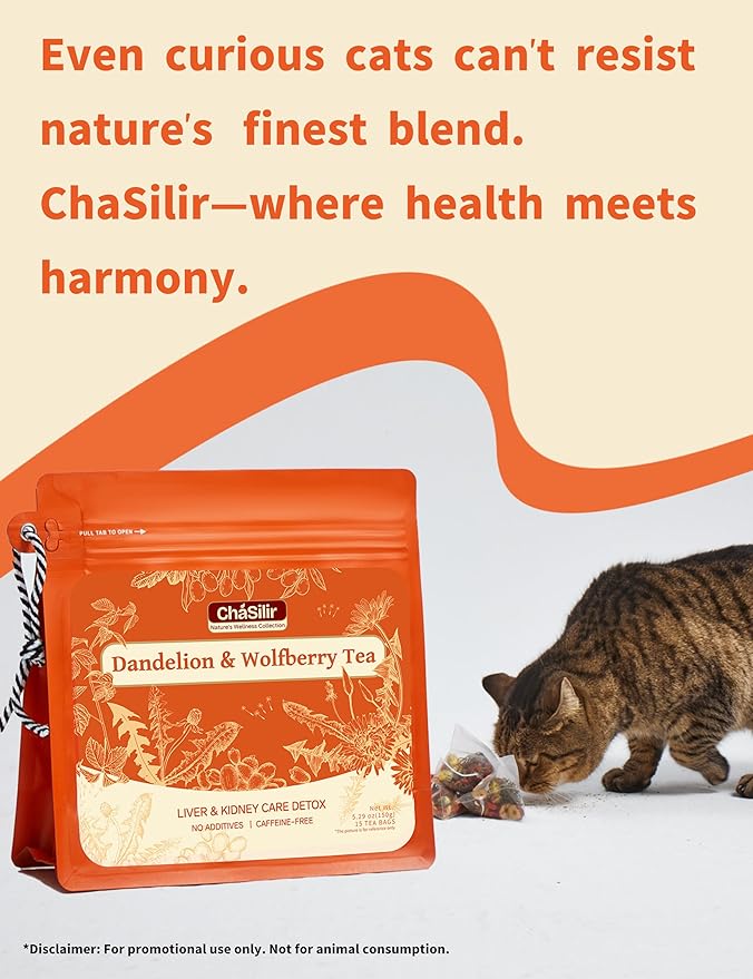 Organic Dandelion Root & Wolfberry Detox Tea Bags - Liver & Kidney Health Support, 15 Compostable Corn Fiber Bags (Caffeine-Free, Plastic-Free, Cleanse & Repair Formula)