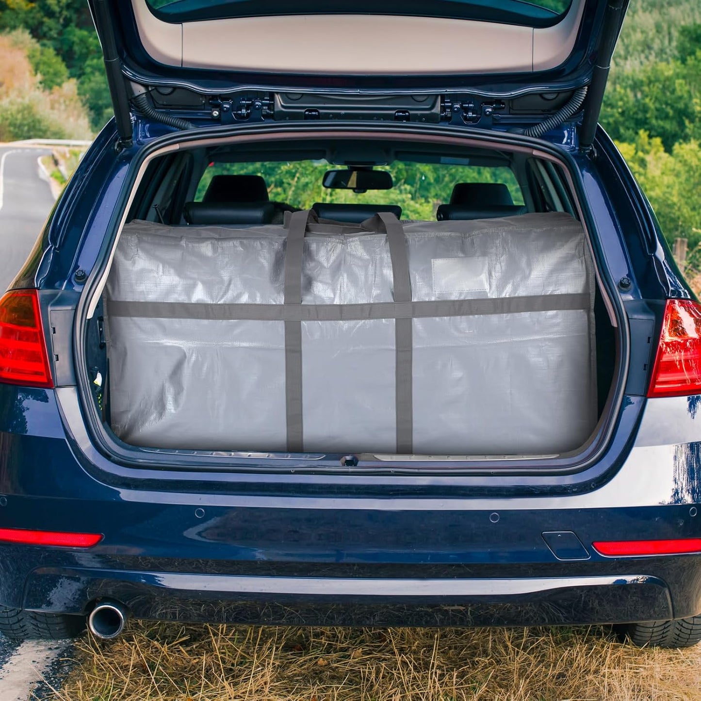 6 Pcs 66 Gallon Large Moving Bags with Zipper and Handles Foldable Storage Duffle Bags Heavy Duty Extra Large Totes for College Dorm Travel Clothes Blankets Bedding Moving (Silver)