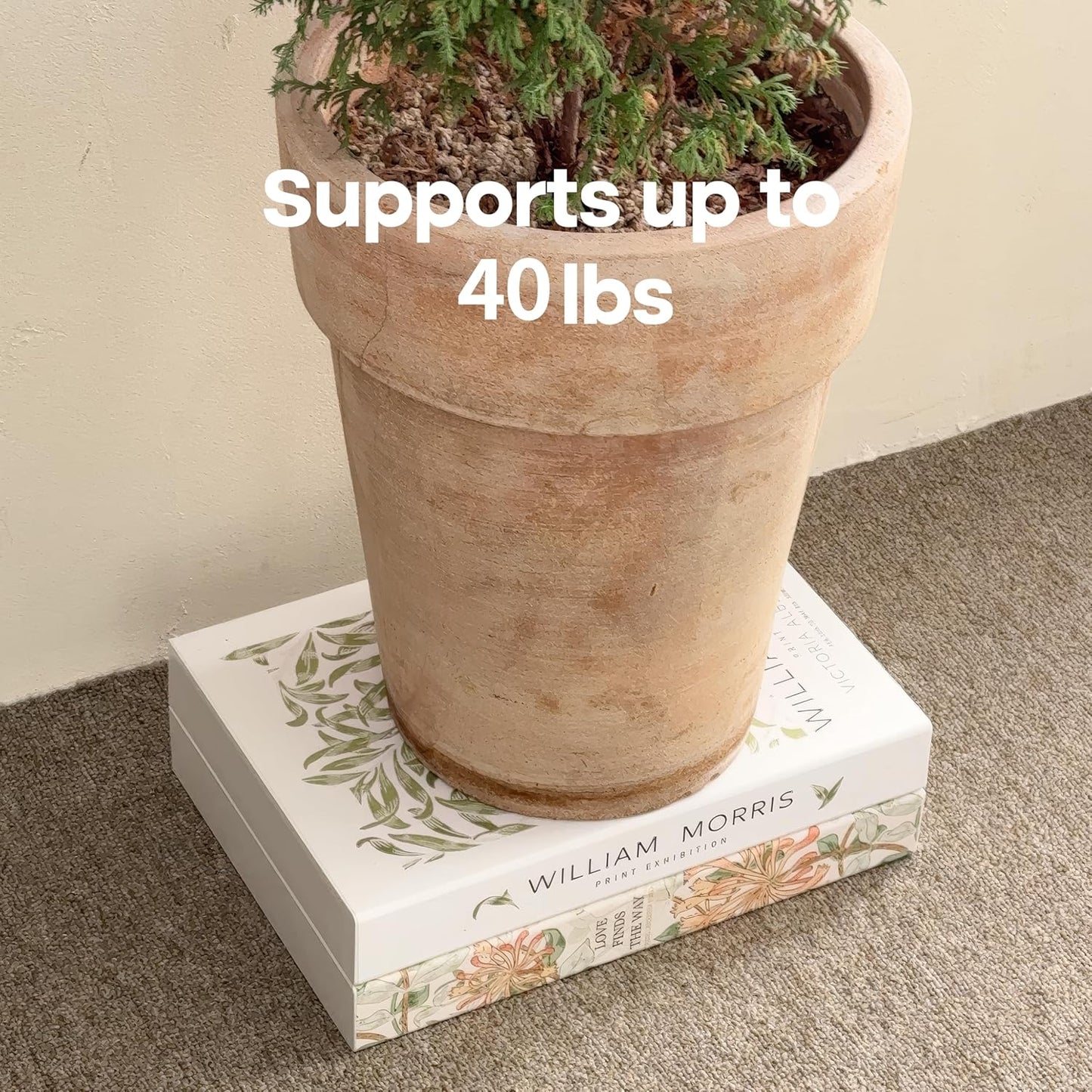 Book Shape Decorative Cable Management Box - Expandable Cable Organizer Box with Magnetic Closure for Home & Office (GoghMonet, Standard)