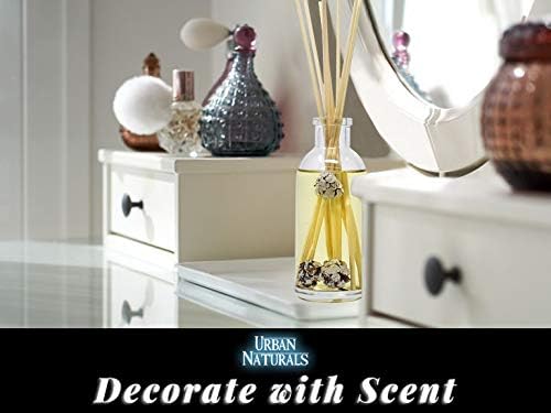 Urban Naturals Frosted Pinecones Holiday Scented Reed Diffuser Oil Gift Set | Pine, Cinnamon, Clove, Cedar Wood, Sandalwood and Vanilla Bean Scent Notes - 3.75 Ounces - Vegan - Made in The USA