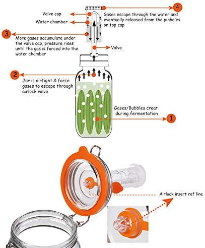 JILLMO Fermenting Jar, 2 Liter Glass Fermentation Kit with Fermenting Weights and Airlocks for Kombucha, Sauerkraut, Pack of 2