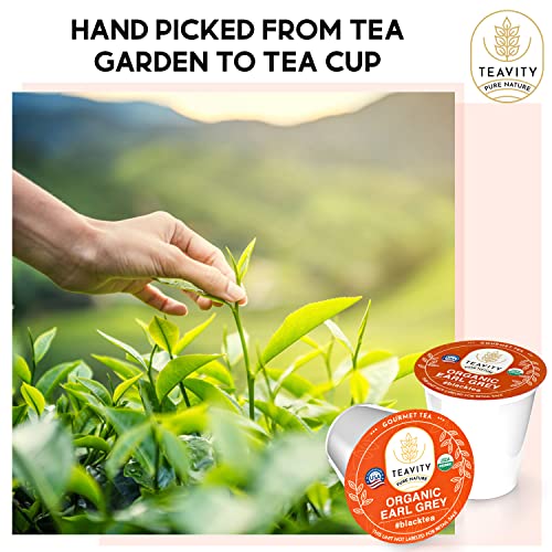 Organic Earl Grey Tea Pods for Keurig - Caffeinated Unsweet Black Tea for K Cup Brewing by Teavity (12 Tea Pods)