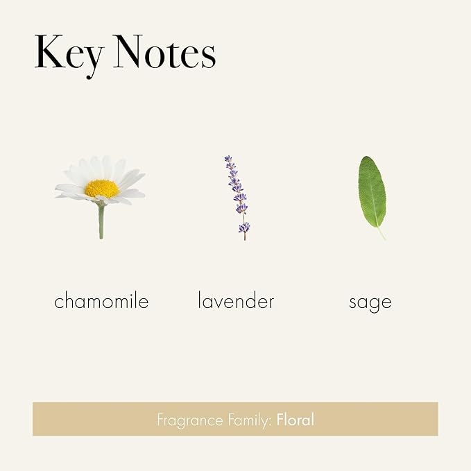 LAFCO New York Classic Reed Diffuser, Chamomile Lavender - 6 oz - Up to 3 Months Fragrance Life - Reusable, Hand Blown Glass Vessel - Natural Wood Reeds - Made in The USA