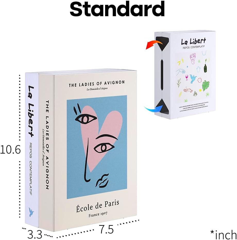 Book Shape Decorative Cable Management Box - Expandable Cable Organizer Box with Magnetic Closure for Home & Office (Libert Paris, Standard)