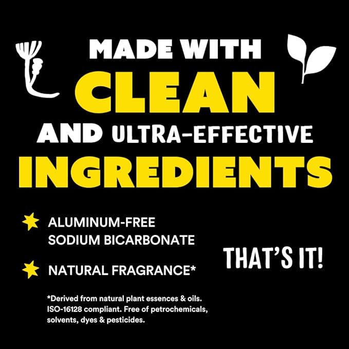 Molly's Suds Sink and All Purpose SCRUB | Gently Removes Stains, Scrubs Away Grease & Gime, Buffs out Scratches | Plant and Mineral Based | 2 Pack, Lavender Scent