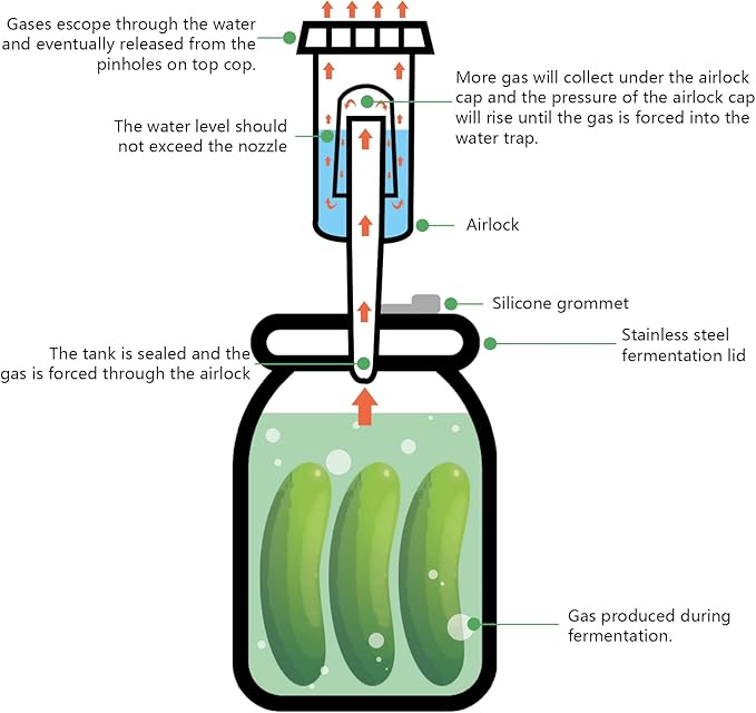 Artcome 22 PC Water Airlock Fermentation Kit - Easy Fermentation Kit for Wide Mouth Mason Jars - (Jars Not Included)