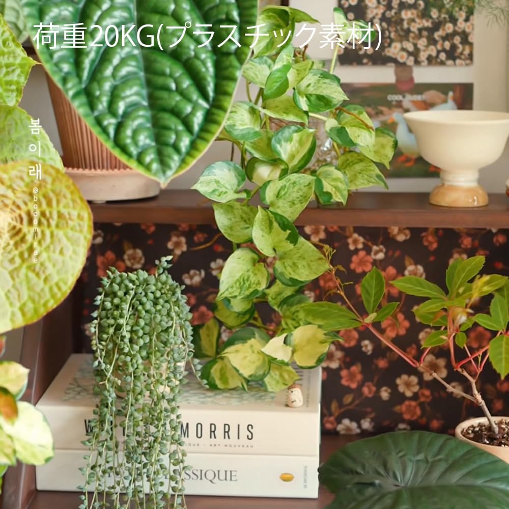 Book Shape Decorative Cable Management Box - Expandable Cable Organizer Box with Magnetic Closure for Home & Office (Blue Coral, Standard)