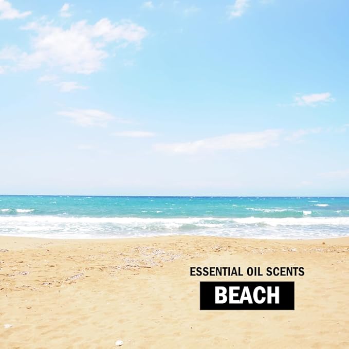 Molly's Suds Sink and All Purpose SCRUB | Gently Removes Stains, Scrubs Away Grease & Gime, Buffs out Scratches | Plant and Mineral Based | 2 Pack, Beach Scent