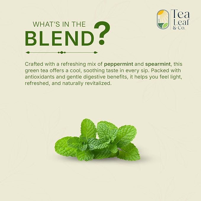 Tea Leaf & Co. Mint Green Tea Bags (50), Green Tea w/ Peppermint & Spearmint, Caffeinated, Real & Natural Green Tea, Blended with Fresh Herbs & Spices