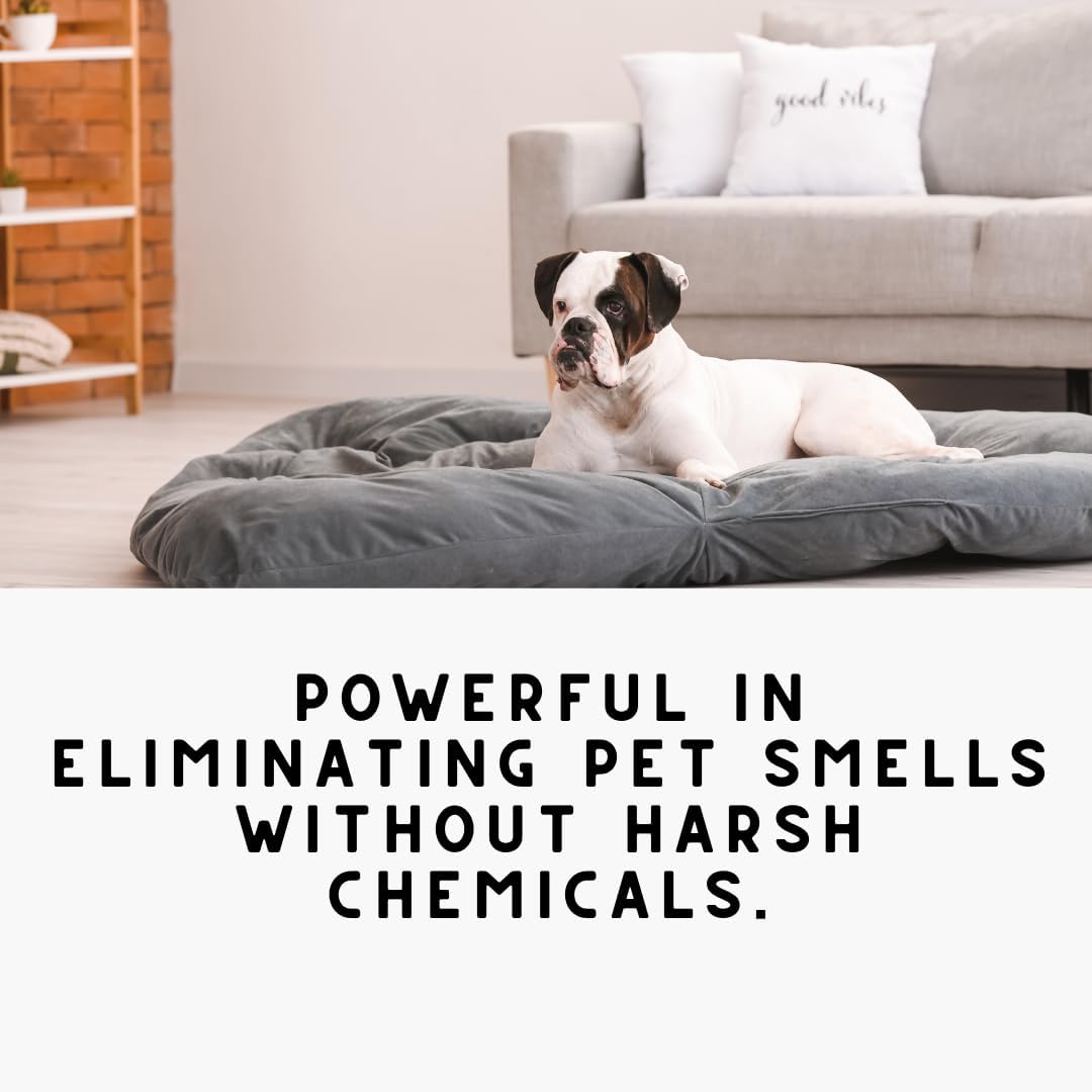 Home ORANGE BLOSSOM' Natural Mop Soap - Neroli & Bergamot Scented Plant Powered Ingredients - Safe & Effective Floor Cleaner/Wet Dry Vacuum Multipurpose Deodorizer Concentrate/ 32oz