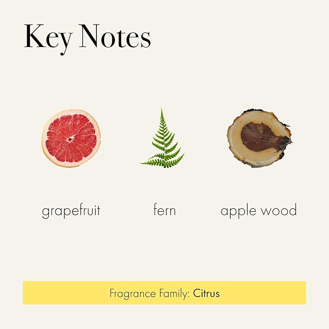 LAFCO New York Classic Reed Diffuser, White Grapefruit - 6 oz - Up to 3 Months Fragrance Life - Reusable Glass Vessel - Natural Wood Reeds - Made in The USA