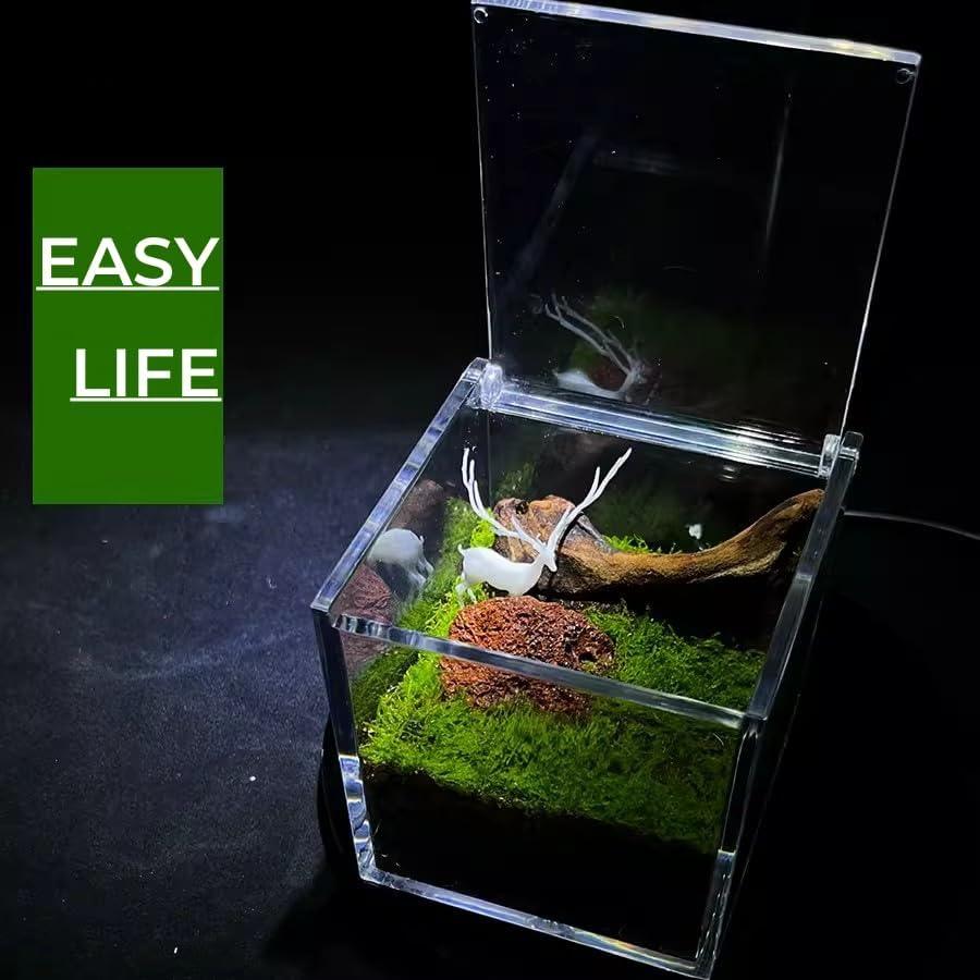 KissYou Acrylic Hinged Lid Box Plastic Display Box with Lid Small Multipurpose Storage Box for Keepsakes, Jewelry，Candy Acrylic Square Cube