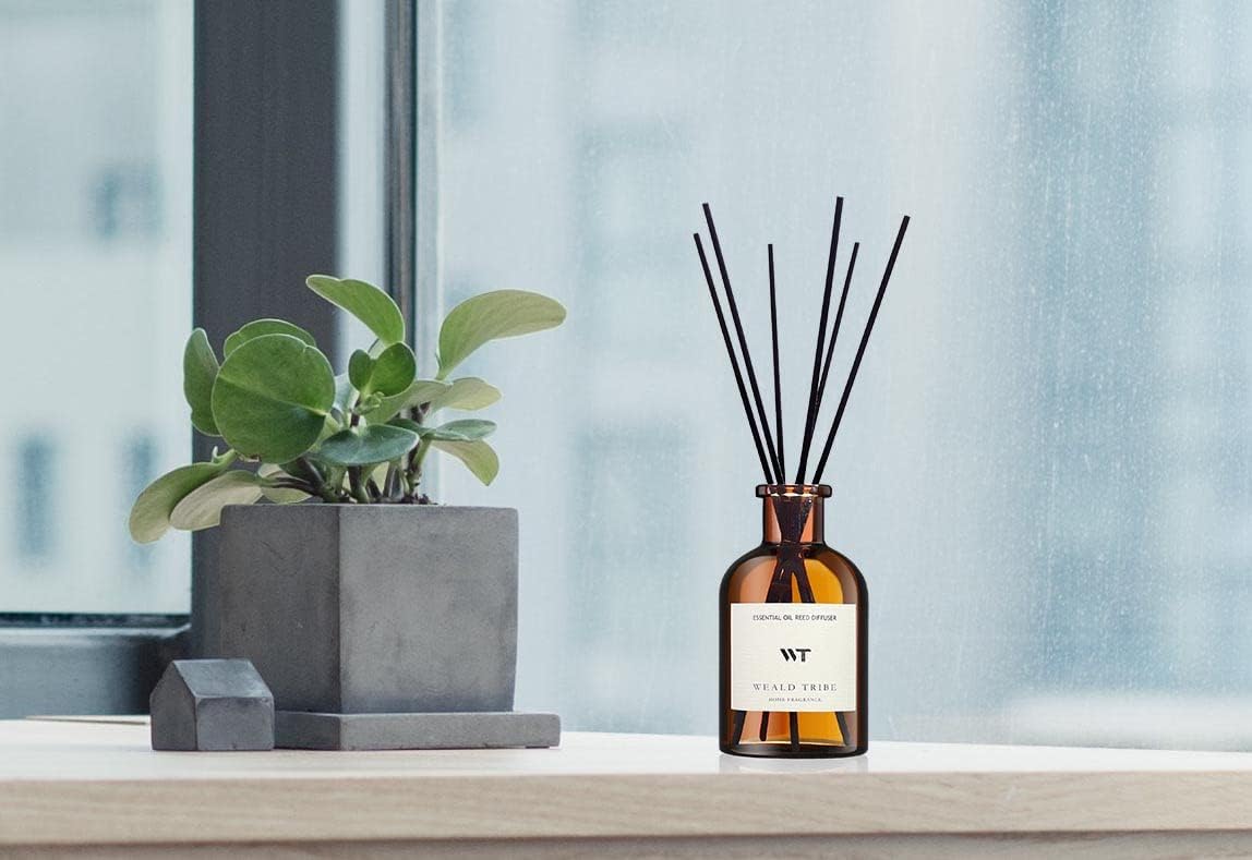 WEALD TRIBE Reed Diffuser Set for Bathroom Air Fresheners, Oil Diffuser Sticks | Sage & Sea Salt Scent 4.0 fl oz Home Fragrance with Sticks Defusers | House Bedroom Office Shelf Decor