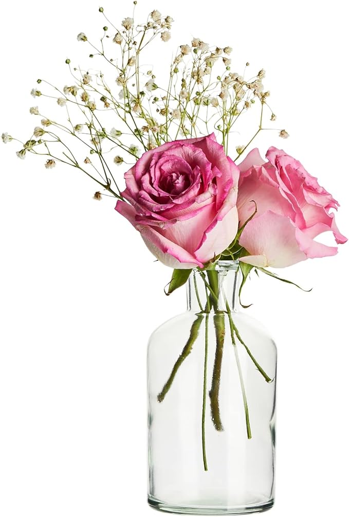 Farmlyn Creek Narrow Jar Vases - 2.8 in x 5 in, 7.5 oz, 6 Pack, Clear Glass - Apothecary-Style Jars & Glass Bottle Vases for Propagation & Mini Decorative Bottles