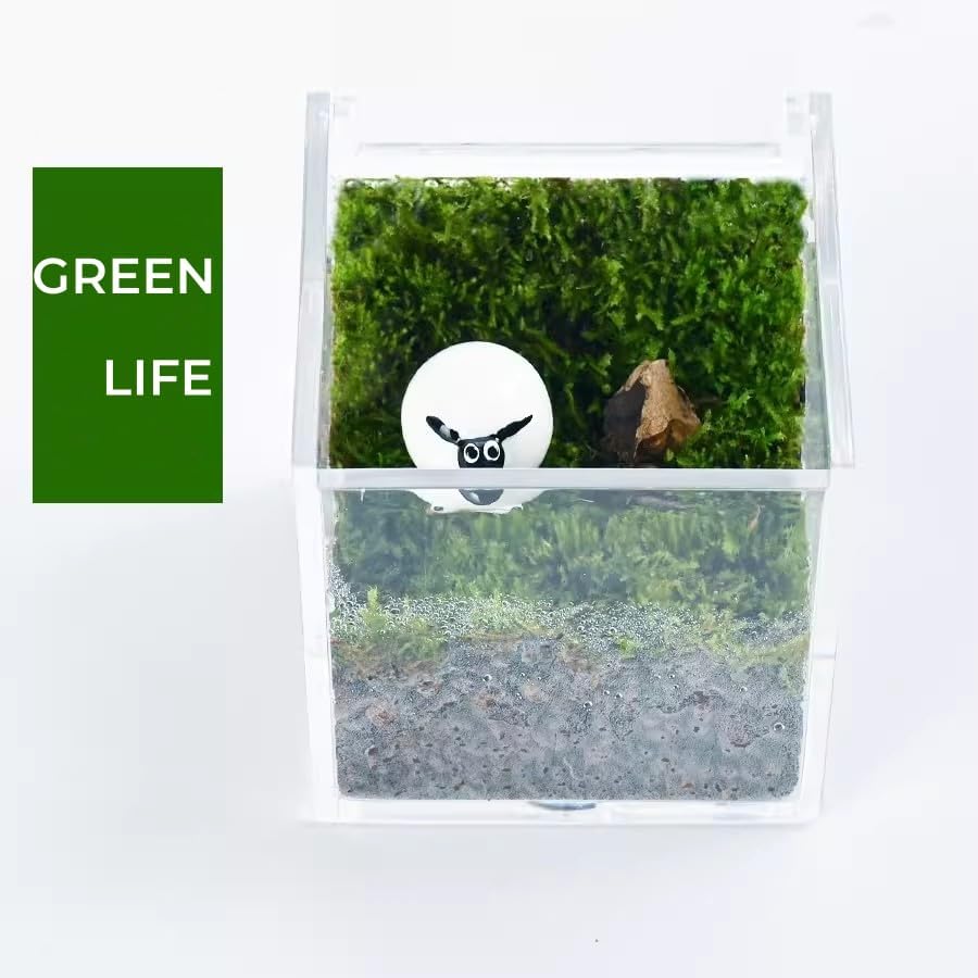 KissYou Acrylic Box with Lid Clear Square Cube Face Towel Storage Box Desk Organizers Aesthetic Hair Accessories Gift Box