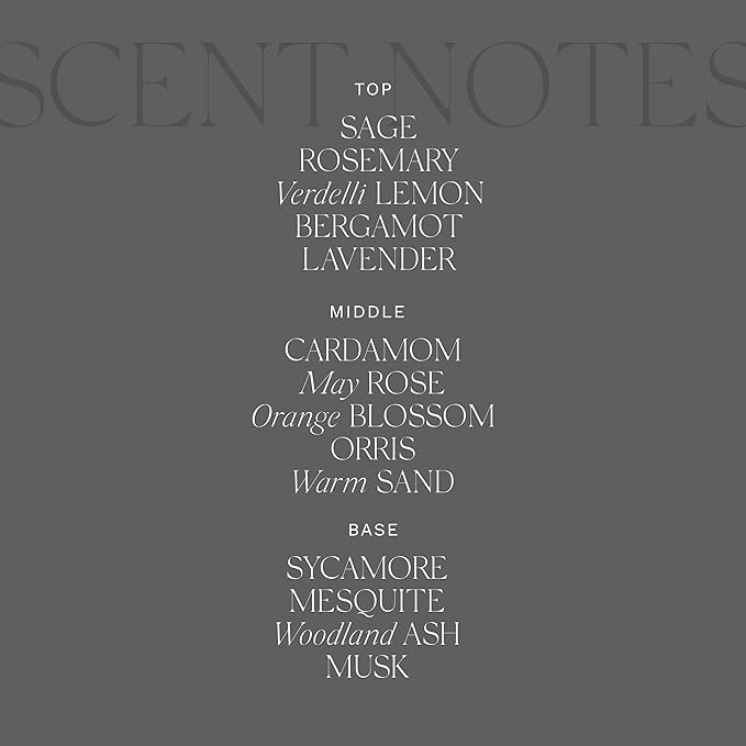 Antica Farmacista Home Ambiance Diffuser - Long-Lasting Reed Scent Diffuser - Luxury Room Freshener Gift - Desert Sage, 8.45 fl oz