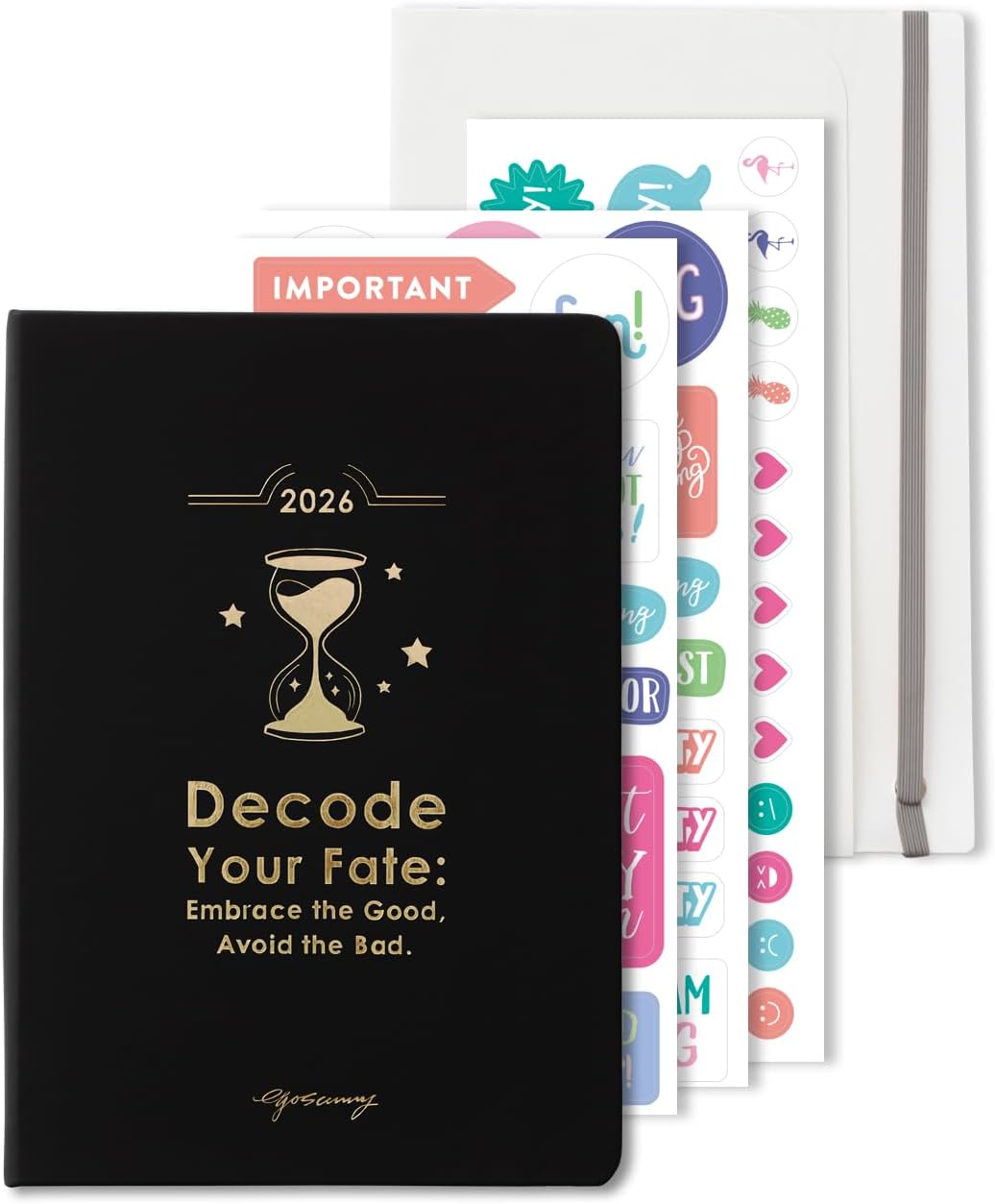 2026 Life Planner with Removable Folder and Elastic Bookmark, Daily Organizer with Forecast, Calligraphy Practice, Habit Tracker, To-Do Lists, and Weekly Layout, Black