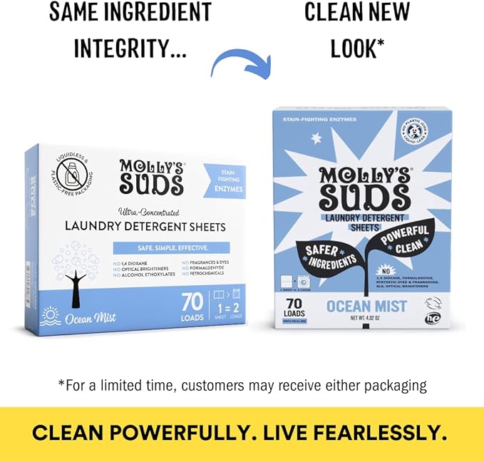 Molly’s Suds Laundry Detergent Sheets | Gentle on Sensitive Skin, Powerful Bio-Based Enzymes, Stain-Fighting | Liquidless & Plastic-Free Packaging | 120 Loads (Ocean Mist)