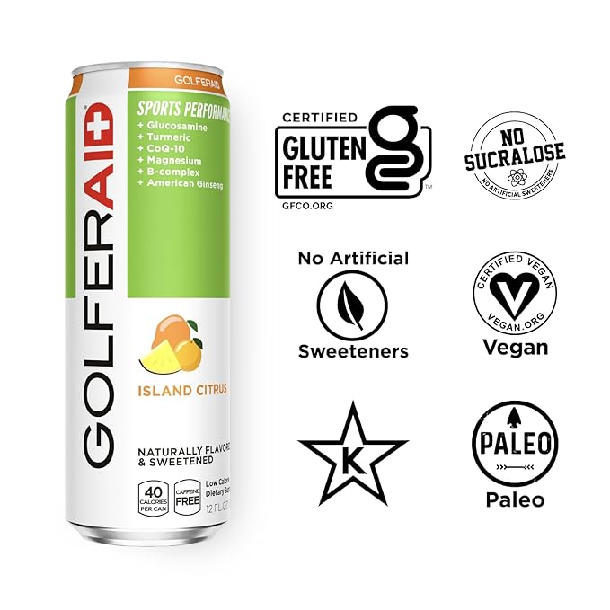 GOLFERAID Performance Blend, Up Your Golf Game, No Caffeine, Glucosamine, Turmeric, MSM, CoQ10, B-Complex, BCAAs and Electrolytes, 40 Calories, 100% Clean, Paleo, Vegan, 12-oz. cans (Pack of 24)
