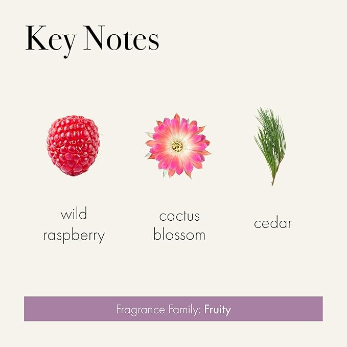 LAFCO New York Classic Reed Diffuser, Midnight Cactus - 6 oz - Up to 3 Months Fragrance Life - Reusable Glass Vessel - Natural Wood Reeds - Made in The USA