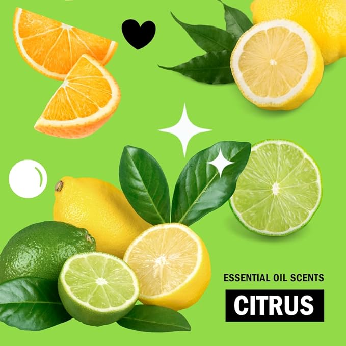 Molly's Suds Sink and All Purpose SCRUB | Gently Removes Stains, Scrubs Away Grease & Gime, Buffs out Scratches | Plant and Mineral Based | 2 Pack, Citrus Scent