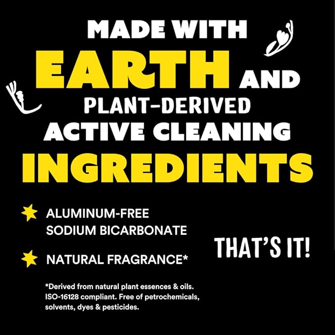 Molly's Suds Sink and All Purpose SCRUB | Gently Removes Stains, Scrubs Away Grease & Gime, Buffs out Scratches | Plant and Mineral Based | 2 Pack, Beach Scent