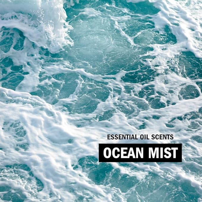 Molly’s Suds Laundry Detergent Sheets | Gentle on Sensitive Skin, Powerful Bio-Based Enzymes, Stain-Fighting | Liquidless & Plastic-Free Packaging | 70 Loads (Ocean Mist)