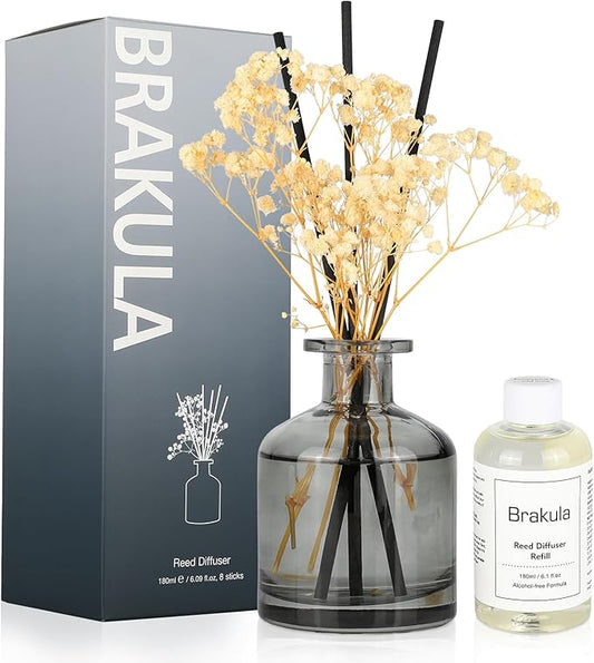Brakula Reed Diffuser Set, 6.09 fl oz (180 ml)- Eucalyptus & Wild Mint with 8 Reed Sticks, Home Fragrance Reed Diffuser for Bathroom Shelf Decor