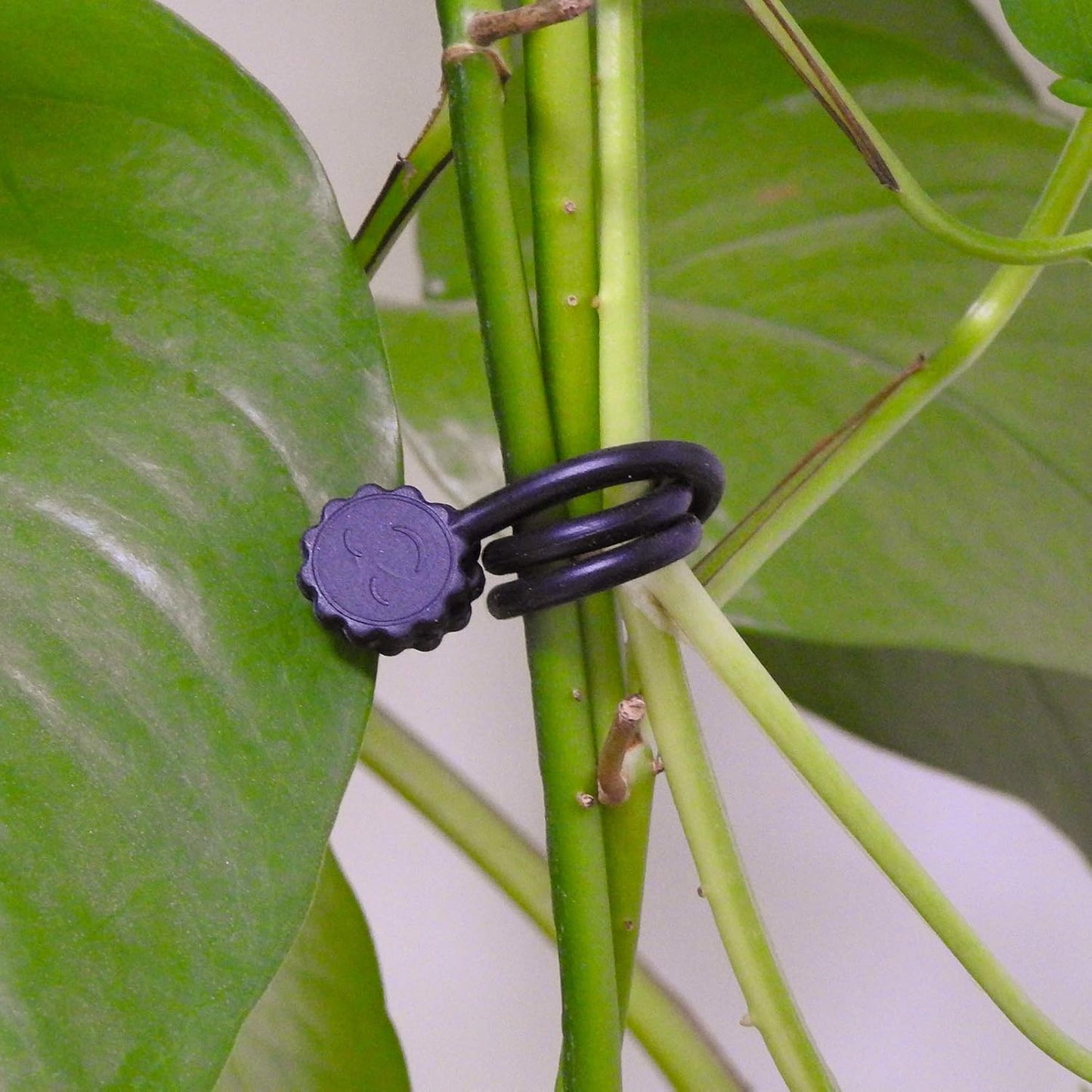 Rich&Ray Silicone Magnetic Twist Ties, Reusable Magnetic Ties for Bundling and Organizing Cable, Hanging or Holding Stuff, Kitchen Magnets, Office Magnets or Just for Fun (Black, 9 pack)