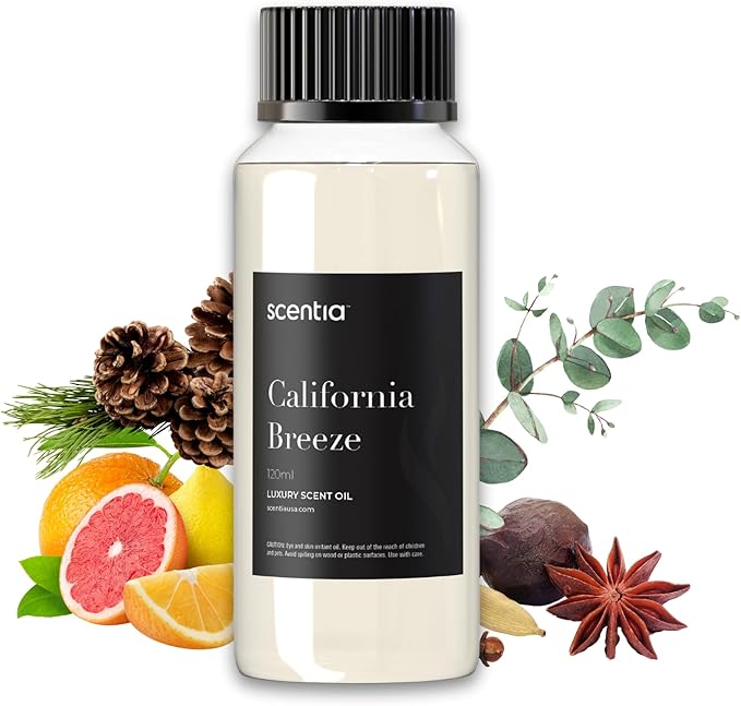 Scentia Hotel Diffuser Oil Inspired by The Delano Beach Club Hotel Scent - 120 mL 4.06 fl oz - Fragrance Oil Blend Orange, Green Tea for Aromatherapy Diffusers - California Breeze, Thanksgiving Gift