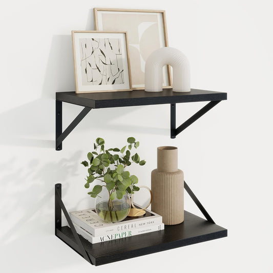 Axeman Black Floating Shelves for Wall - 10 Inch Deep Floating Shelves Set of 2-16 Inch Wide x 10 Inch Deep Black Wall Shelves for Living Room Bathroom Bedroom