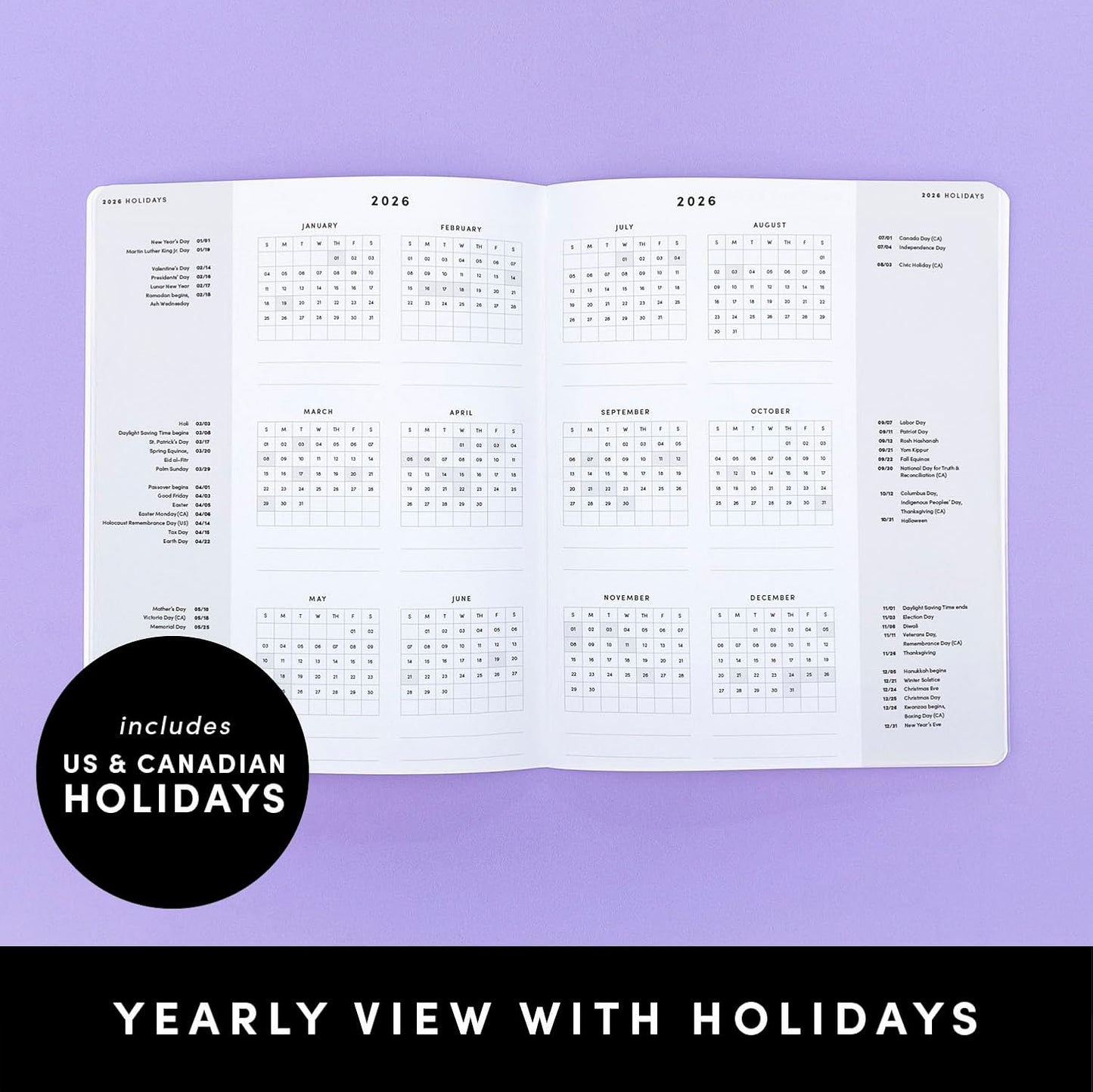 PAPERAGE 2026 Monthly Planner, 12 Months (January 2026 - December 2026), 8 in x 10 in, 2026 Planner with Large Monthly Spreads & Calendar Views, Note Pages, To Do Lists & Trackers, – Floral Daze