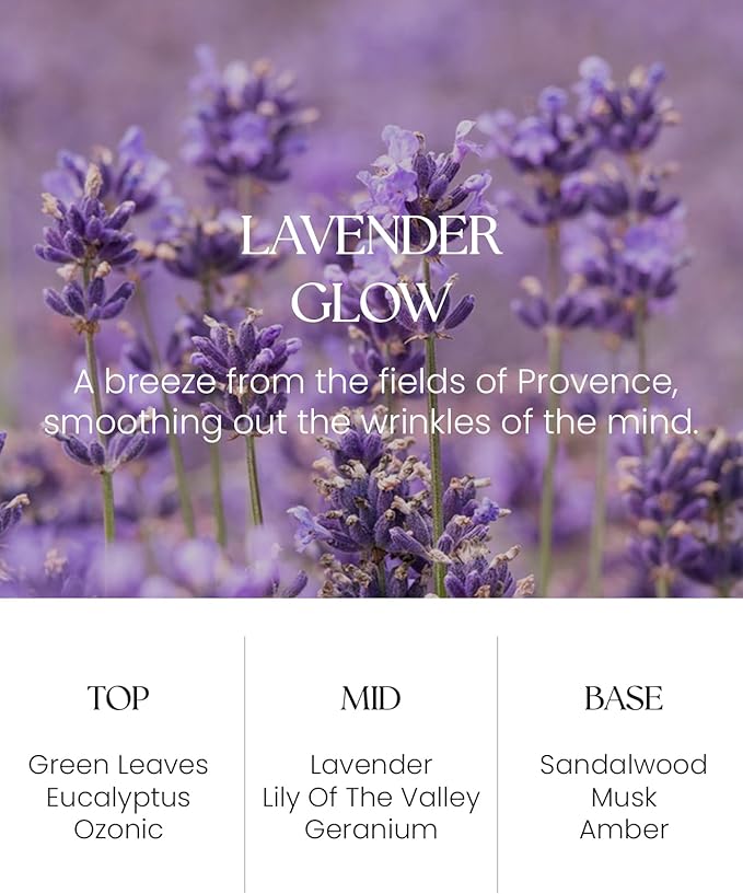M&SENSE Lavender Glow Reed Diffuser Set - 8.79fl oz Home Fragrance Non-Toxic Essential Oil Diffuser with Sticks, Air Freshner Gifts for Bathroom Shelf Decor