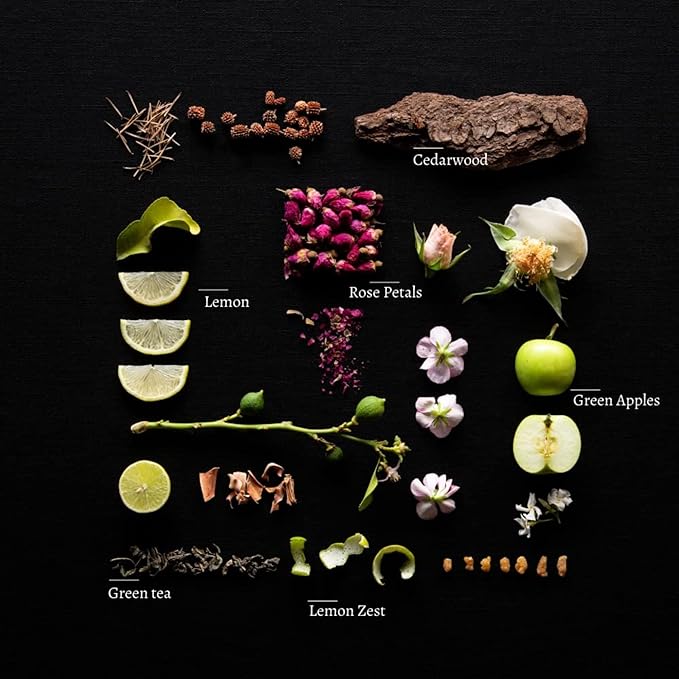 Duša Lemongrass Reed Diffuser & Sticks - 5 Fl Oz Essential Home Fragrance for Bathroom, Office & Living Spaces – Stylish & Long-Lasting Room Air Freshener - Ideal for Housewarming & Special Occasions