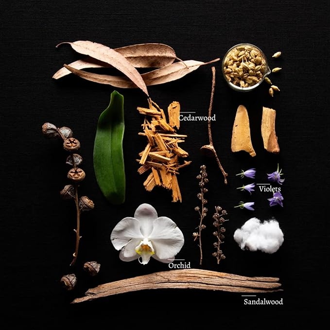 Duša Santal Reed Diffuser & Sticks - 5 Fl Oz Essential Home Fragrance Decor for Bathroom, Office & Living Spaces – Stylish & Long-Lasting Room Air Freshener -Ideal for Housewarming & Special Occasions