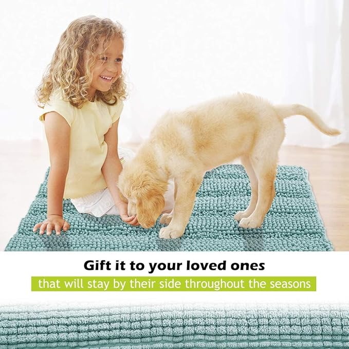 KGORGE Large Bathroom Rugs - Decorations Soft Bath Mat Water Absorbent Non-Slip Quick Drying Thick Shaggy Chenile Bathtub Set for Toilet Kitchen Entryway, Aqua, 70" x 24", 1 Piece