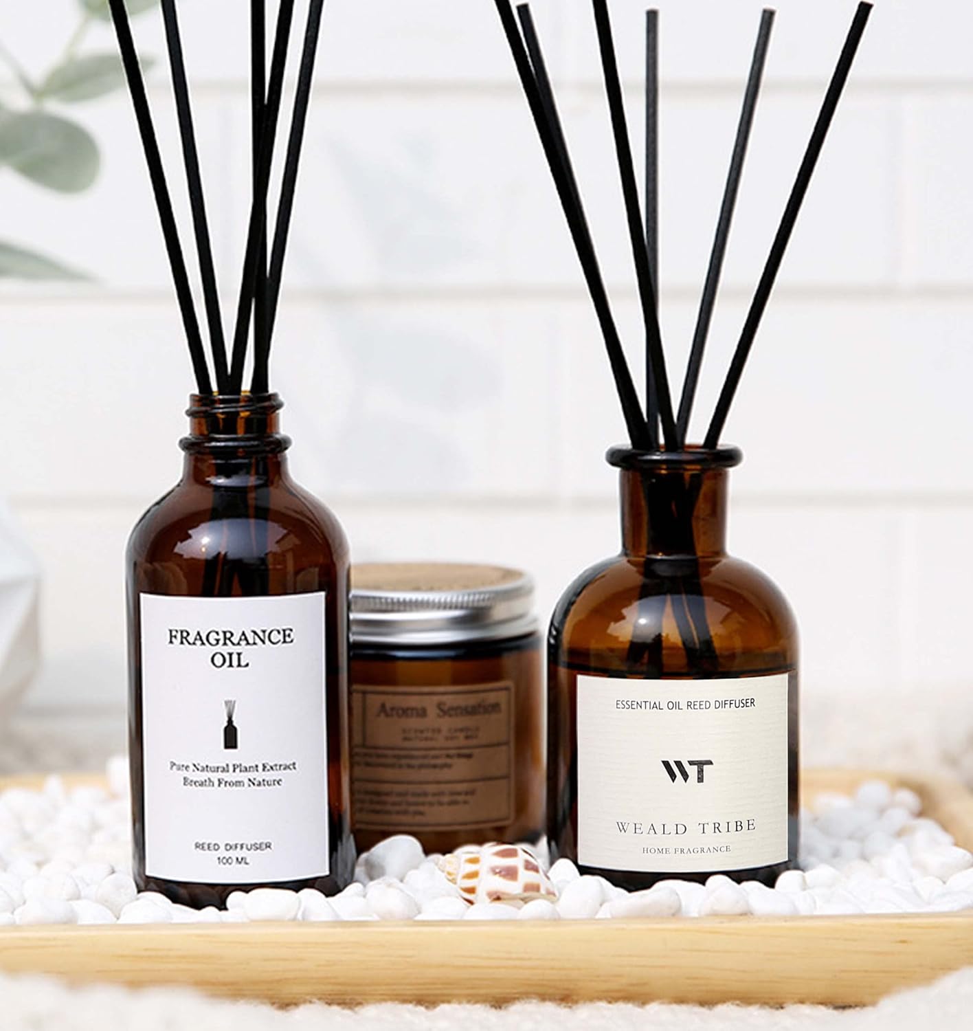 WEALD TRIBE Reed Diffuser Set for Bathroom Air Fresheners, Oil Diffuser Sticks | Sage & Sea Salt Scent 4.0 fl oz Home Fragrance with Sticks Defusers | House Bedroom Office Shelf Decor