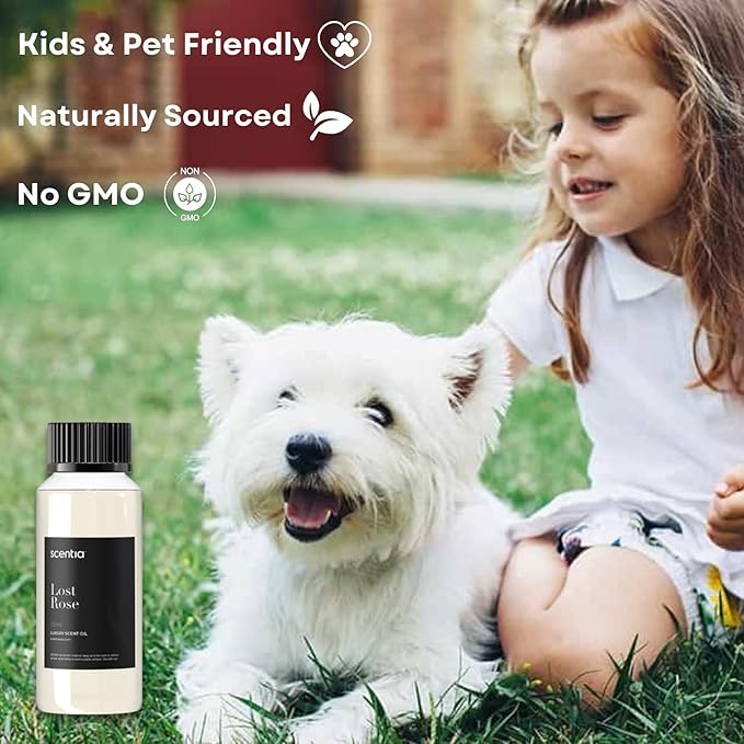 Scentia Hotel Diffuser Oil Inspired by Fairmont Hotel Scent - 120 mL 4.06 fl oz - Refill Diffuser Oil Blend Rose, Oud Wood & Clove Notes for Aromatherapy Diffusers - Lost Rose, Thanksgiving Gift