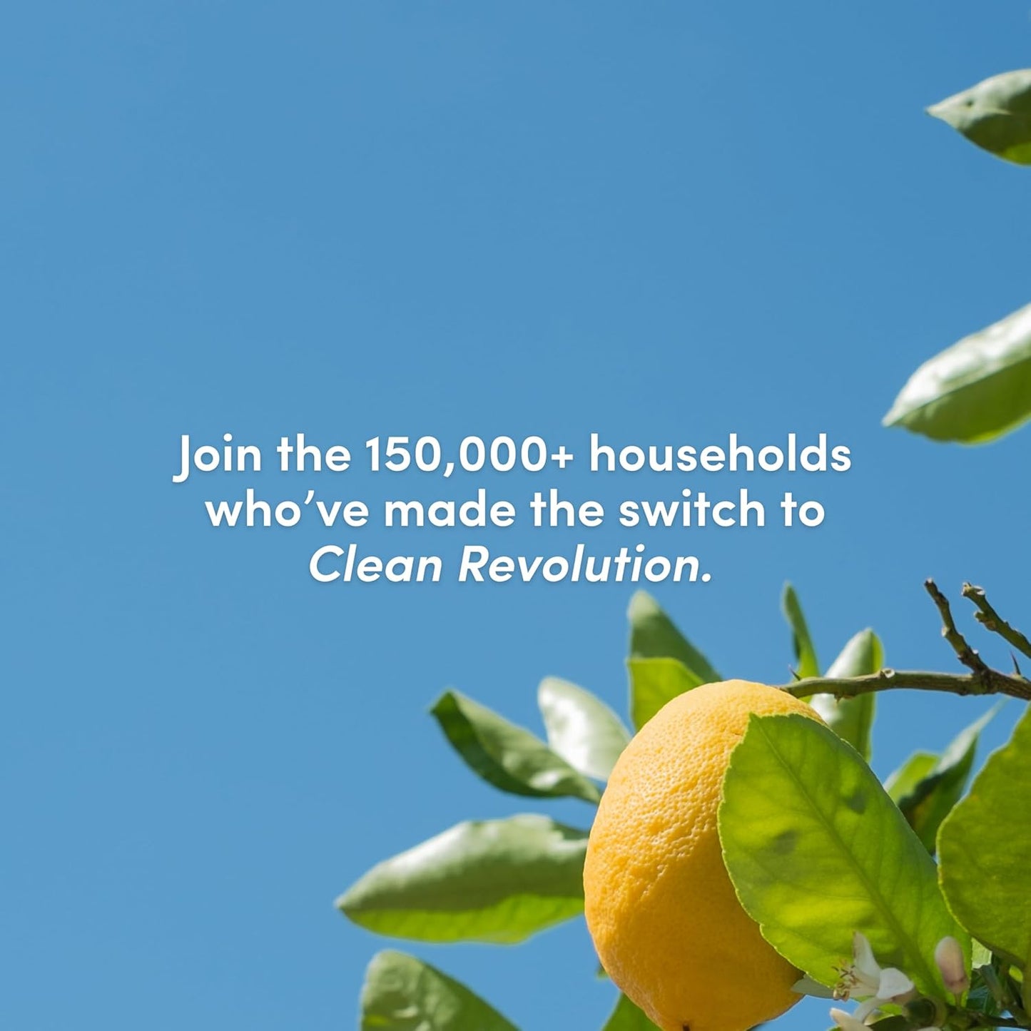 Clean Revolution SuperCharged Multi Surface Cleaner Refill Supply, Non-Toxic, Eco-Friendly & Plant-Based, Ready to Use, Lemon & Herbs, 18 oz (Pack of 1)