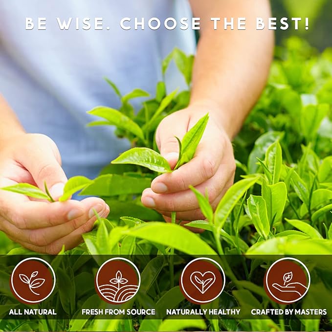 Organic Black Tea Pods for Keurig - Naturally Caffeinated Unsweetened Black Tea Pods by Teavity (24 Tea Pods)