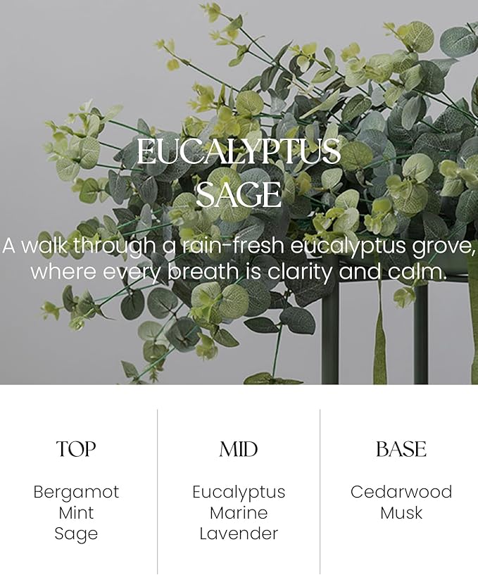 M&SENSE Eucalyptus Sage Reed Diffuser Set - 8.79fl oz Home Fragrance Non-Toxic Natural Reed Diffuser for Home, Air Freshner Gifts for Bathroom Bedroom Fragrance Decor