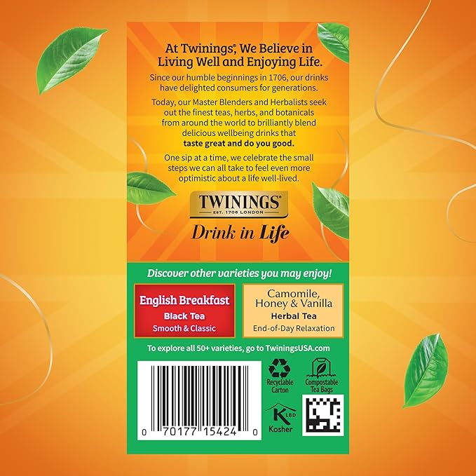 Twinings Irish Breakfast Black Tea Individually Wrapped Bags, 20 Count (Pack of 6), Flavourful, Robust Black Tea, Caffeinated, Enjoy Hot or Iced, 120 Teabags