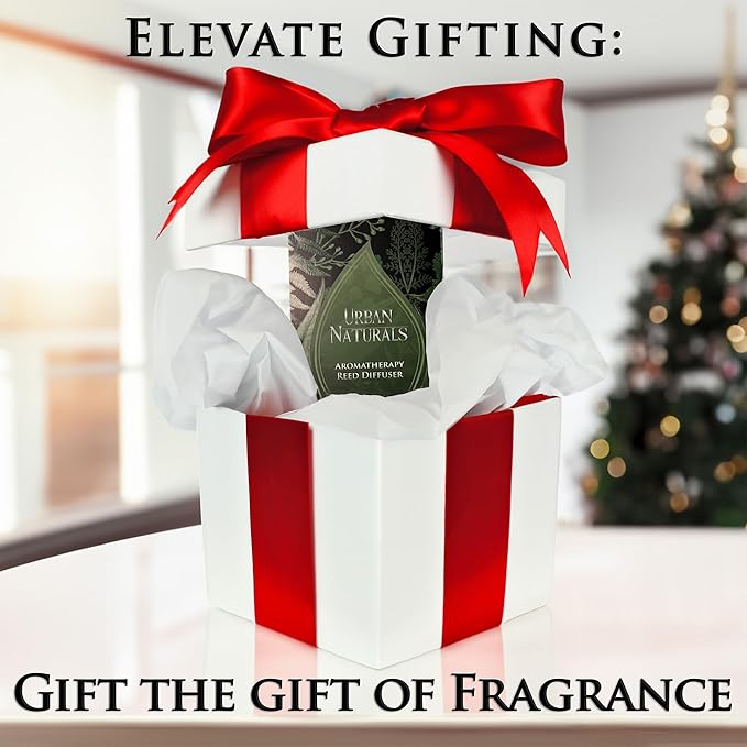Urban Naturals Holiday Cheer Reed Diffuser Set – Cranberry, Cinnamon, Evergreen, Cedar & Smokey Wood – Made with Essential Oils – Sleek Rectangular Refillable Glass Bottle – Made in The USA